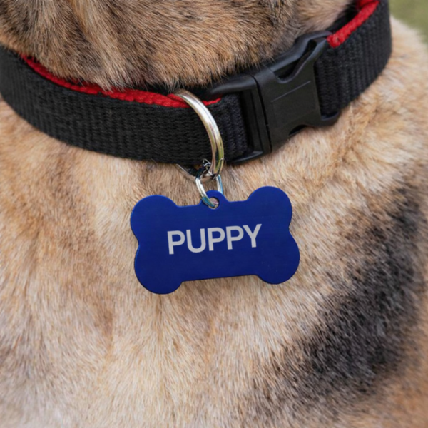Large Personalised Pet ID Tag — 8 Colours